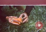 Image of United States navy diver Atlantic Ocean, 1964, second 34 stock footage video 65675061595