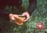Image of United States navy diver Atlantic Ocean, 1964, second 35 stock footage video 65675061595