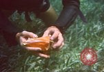 Image of United States navy diver Atlantic Ocean, 1964, second 36 stock footage video 65675061595