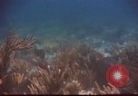 Image of United States navy diver Atlantic Ocean, 1964, second 37 stock footage video 65675061595