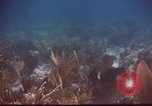Image of United States navy diver Atlantic Ocean, 1964, second 38 stock footage video 65675061595