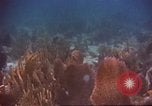 Image of United States navy diver Atlantic Ocean, 1964, second 39 stock footage video 65675061595