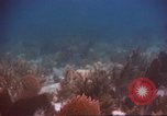 Image of United States navy diver Atlantic Ocean, 1964, second 40 stock footage video 65675061595