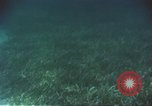 Image of United States navy diver Atlantic Ocean, 1964, second 43 stock footage video 65675061595