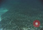 Image of United States navy diver Atlantic Ocean, 1964, second 44 stock footage video 65675061595