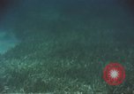 Image of United States navy diver Atlantic Ocean, 1964, second 45 stock footage video 65675061595