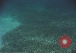 Image of United States navy diver Atlantic Ocean, 1964, second 46 stock footage video 65675061595