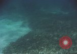 Image of United States navy diver Atlantic Ocean, 1964, second 48 stock footage video 65675061595