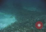 Image of United States navy diver Atlantic Ocean, 1964, second 49 stock footage video 65675061595