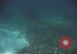 Image of United States navy diver Atlantic Ocean, 1964, second 50 stock footage video 65675061595