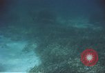 Image of United States navy diver Atlantic Ocean, 1964, second 51 stock footage video 65675061595