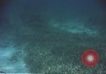 Image of United States navy diver Atlantic Ocean, 1964, second 52 stock footage video 65675061595