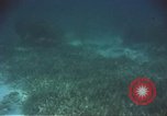 Image of United States navy diver Atlantic Ocean, 1964, second 53 stock footage video 65675061595