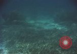 Image of United States navy diver Atlantic Ocean, 1964, second 54 stock footage video 65675061595