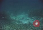 Image of United States navy diver Atlantic Ocean, 1964, second 56 stock footage video 65675061595