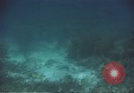 Image of United States navy diver Atlantic Ocean, 1964, second 57 stock footage video 65675061595