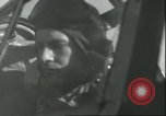 Standbild B-17 Flying Fortress Bomber europäische Theater, 1945, aus Sekunde 54 historischem Filmmaterial Videoclip 65675061610