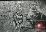 Immagine di Le truppe italiane Italia, 1918, secondo 55 filmato di repertorio 65675061617