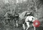 Immagine di Le truppe italiane Italia, 1918, secondo 59 filmato di repertorio 65675061617