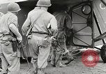 Image CG-4 planeurs de Myitkyina Birmanie, 1944, de la seconde 60 séquences d'archives historiques vidéo 65675061620