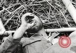 Image of United States soldiers Myitkyina Burma, 1944, second 8 stock footage video 65675061622
