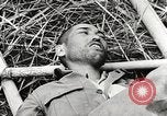 Image of United States soldiers Myitkyina Burma, 1944, second 12 stock footage video 65675061622