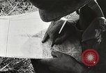 Image of United States soldiers Myitkyina Burma, 1944, second 26 stock footage video 65675061622