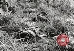 Image of United States soldiers Myitkyina Burma, 1944, second 31 stock footage video 65675061622
