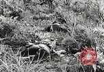 Image of United States soldiers Myitkyina Burma, 1944, second 32 stock footage video 65675061622