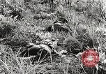 Image of United States soldiers Myitkyina Burma, 1944, second 33 stock footage video 65675061622