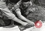 Image of United States Army Air Forces Myitkyina Burma, 1944, second 23 stock footage video 65675061624