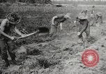 Image of British soldiers Burma, 1944, second 30 stock footage video 65675061632