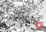 Image of British soldiers Burma, 1944, second 39 stock footage video 65675061632