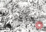 Image of British soldiers Burma, 1944, second 40 stock footage video 65675061632
