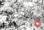 Image of British soldiers Burma, 1944, second 41 stock footage video 65675061632