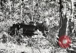 Image of British soldiers Burma, 1944, second 43 stock footage video 65675061632