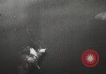 Image of British DH-4 aircraft European Theater, 1945, second 48 stock footage video 65675061634