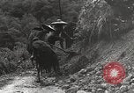 Image road la Birmanie, 1944, de la seconde 54 séquences d'archives historiques vidéo 65675061639