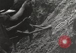 Image road la Birmanie, 1944, de la seconde 57 séquences d'archives historiques vidéo 65675061639