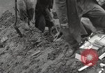 Image des coolies chinois la Birmanie, 1944, de la seconde 25 séquences d'archives historiques vidéo 65675061641