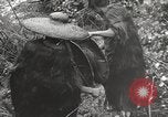 Image des coolies chinois la Birmanie, 1944, de la seconde 31 séquences d'archives historiques vidéo 65675061641