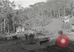 Image of United States1st Battalion China-Burma-India Theater, 1944, second 15 stock footage video 65675061642