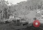 Image of United States1st Battalion China-Burma-India Theater, 1944, second 16 stock footage video 65675061642