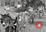 Image of United States1st Battalion China-Burma-India Theater, 1944, second 45 stock footage video 65675061642