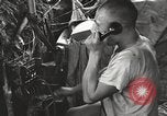 Image of Chinese troops Burma, 1944, second 50 stock footage video 65675061646