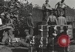 Image of United States soldiers Burma, 1944, second 7 stock footage video 65675061648