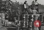 Image of United States soldiers Burma, 1944, second 8 stock footage video 65675061648