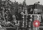 Image of United States soldiers Burma, 1944, second 11 stock footage video 65675061648