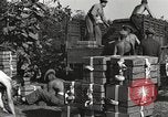 Image of United States soldiers Burma, 1944, second 17 stock footage video 65675061648