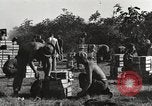 Image of United States soldiers Burma, 1944, second 31 stock footage video 65675061648